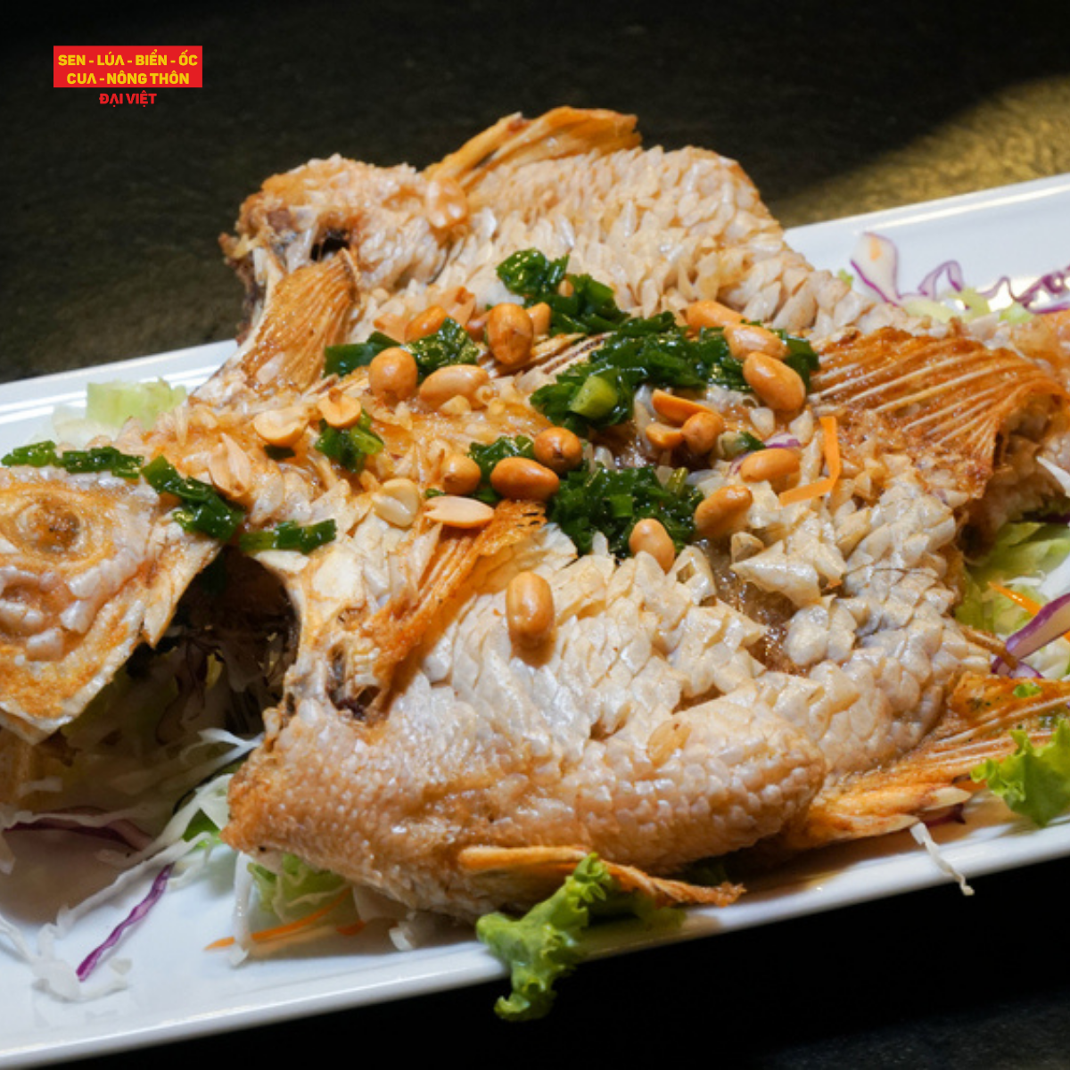  Deep-fried Red Tilapia - Cá Diêu Hồng Chiên Xù 