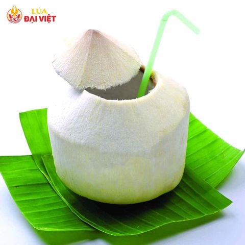  Fresh Coconut 
