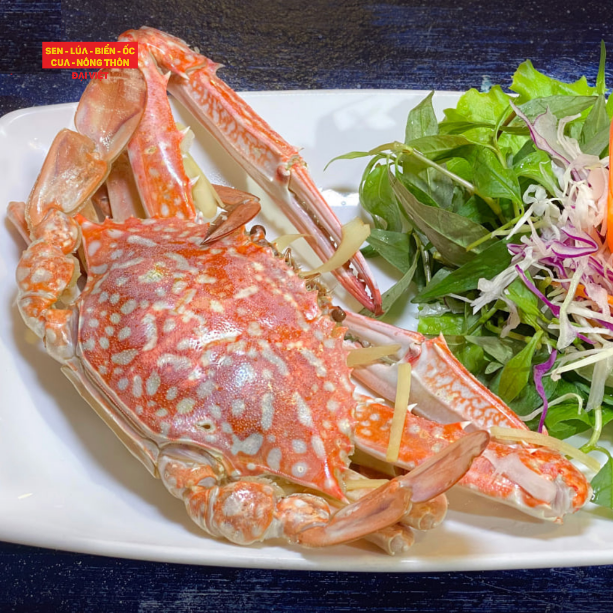  Steamed Phan Thiet Sentinel Crab - Ghẹ Xanh Hấp (Giá tính theo 1 con 200 gram) 
