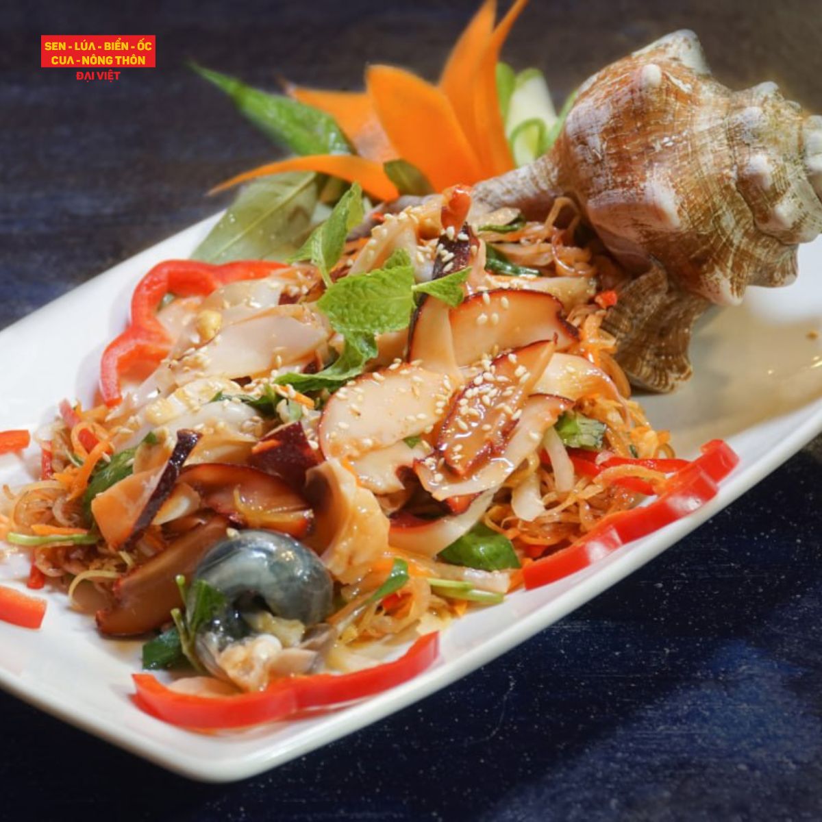  Giant Trapezium Horse Conch And Banana Blossom Salad - Gỏi Bắp Chuối Ốc Đỏ Đại (Giá tính theo 1 con 300 gram) 