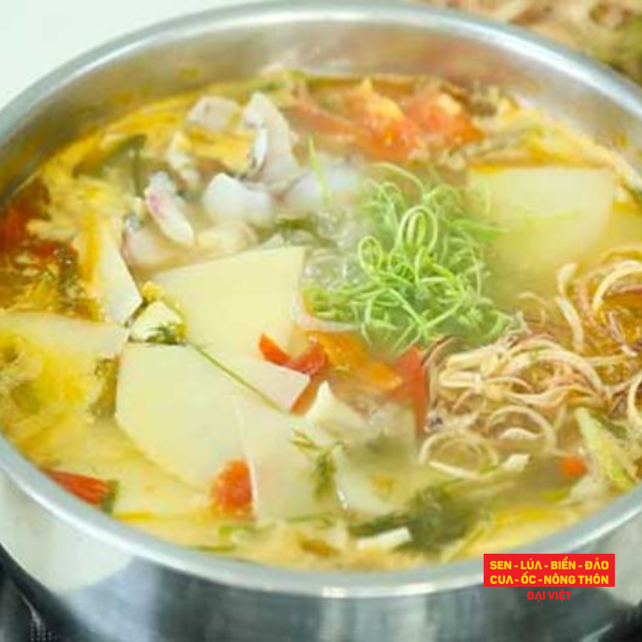  Bluedspotted Ribbontail Ray Hotpot With Sour Bamboo Shoots - Cá đuối sao xanh nấu lẩu măng chua (con 1kg) 