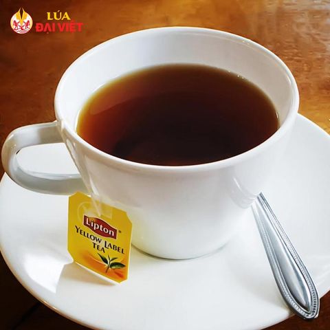  Lipton Tea (Hot / Iced) 