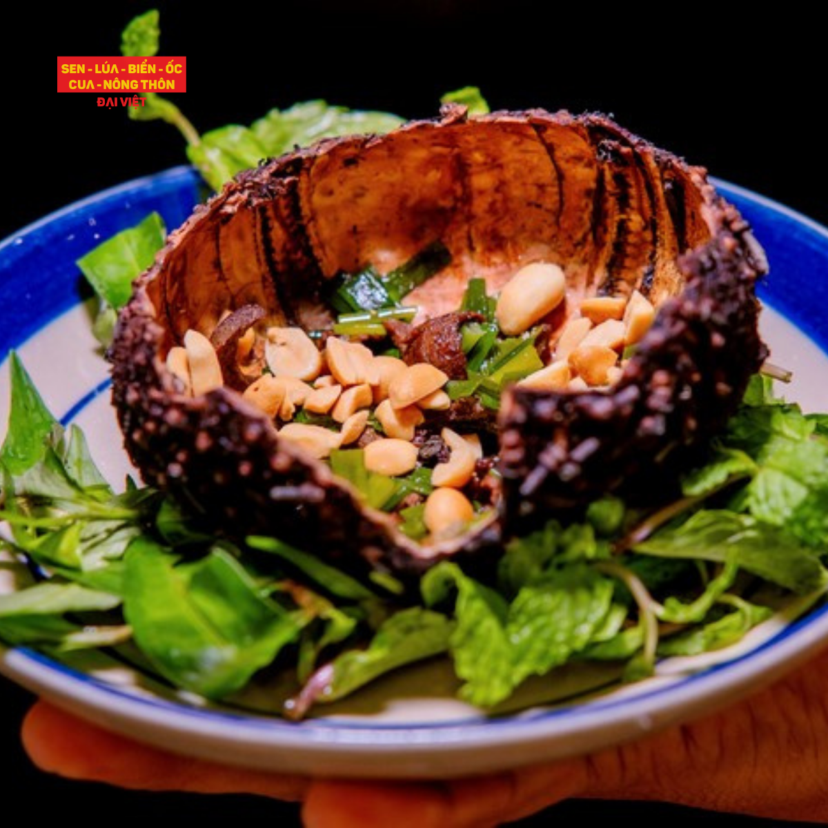  Nhum Nướng Mỡ Hành - Grilled Sea Urchin With Scallion 