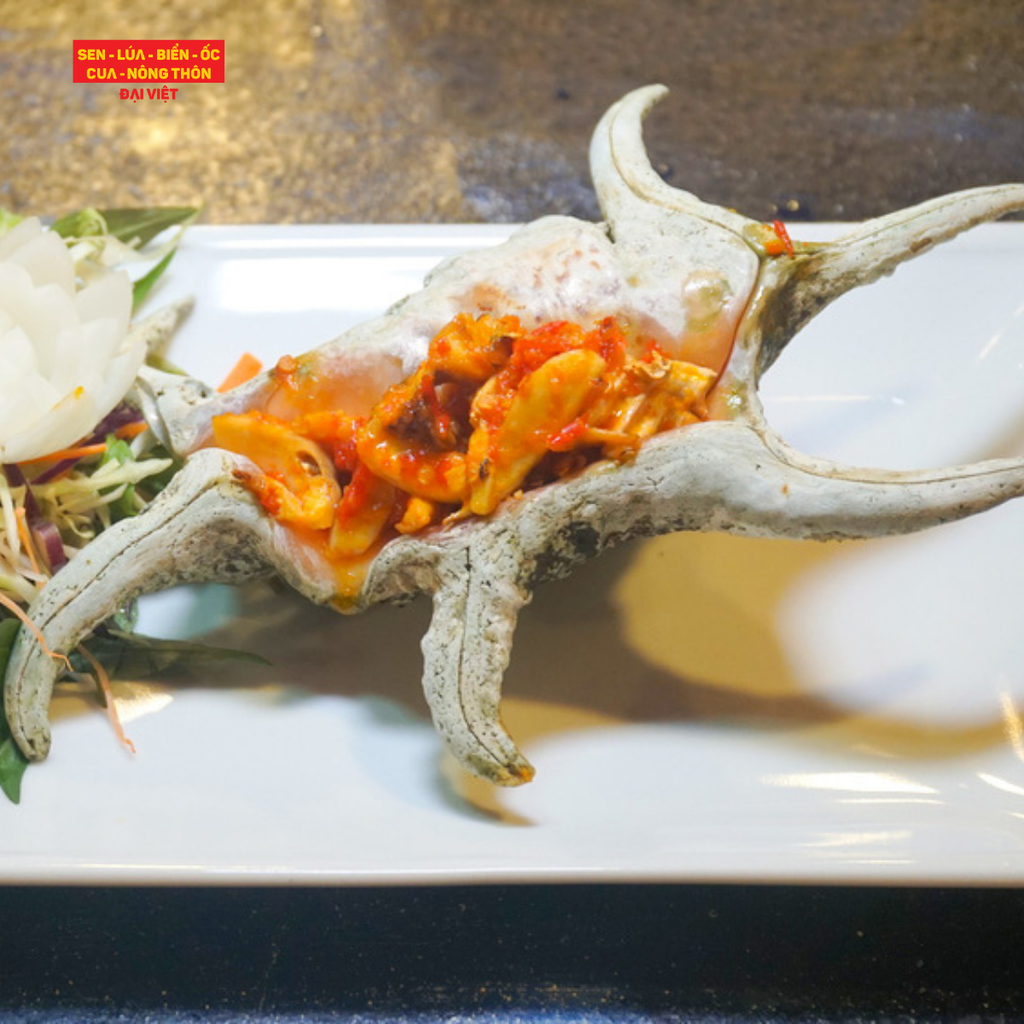  Grilled Orange Spider Conch With Salt & Chilli - Ốc Ngôi Sao Nướng Muối Ớt 