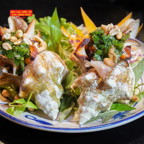 Stir-fried Giant Trapezium Horse Conch With Butter & Garlic - Ốc Đỏ Đại Nướng Mỡ Hành (Giá tính theo 1 con 300 gram) 