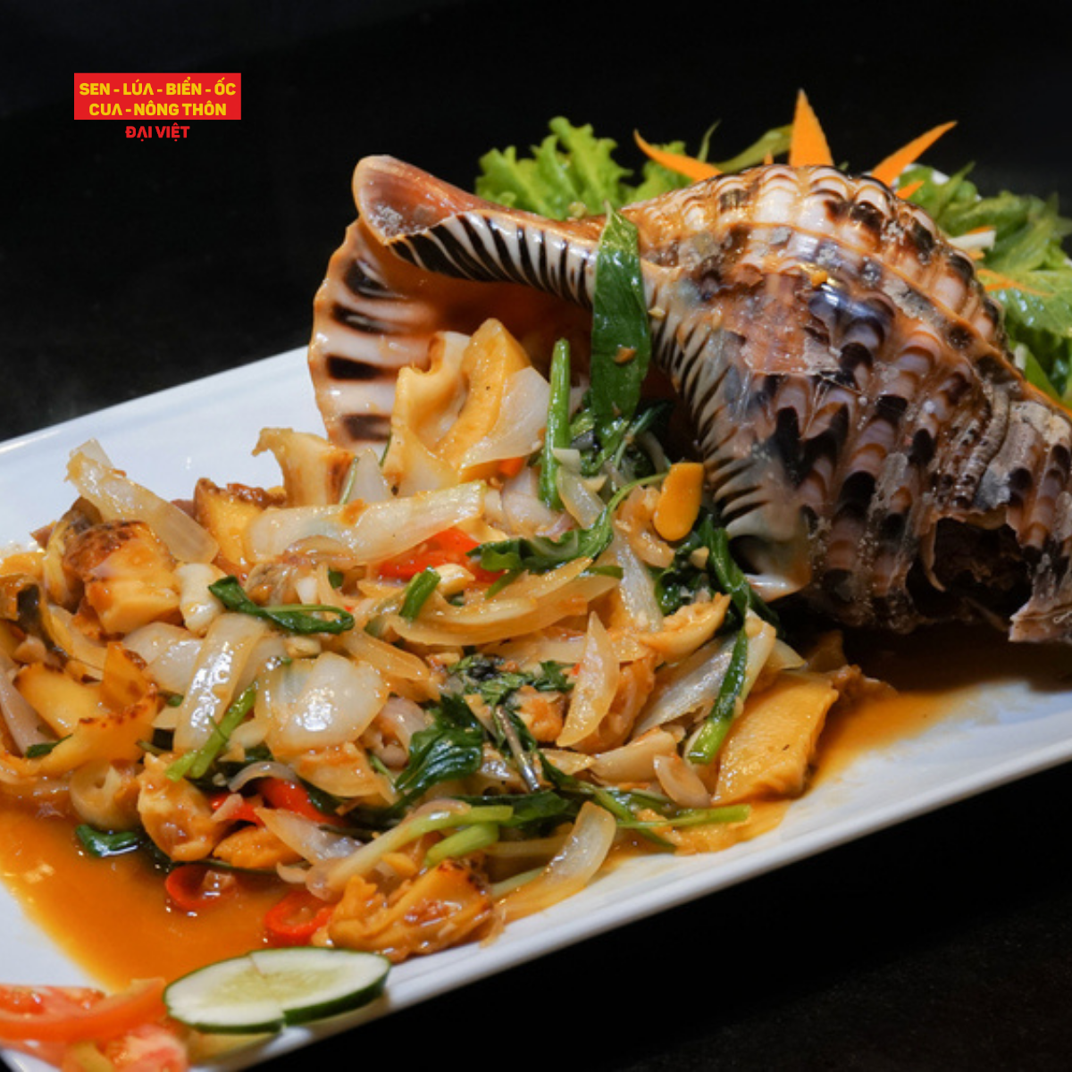  Stir-fried Triton's Trumpet Snail With Basil - Ốc Hoàng Hậu Xào Lá Quế (Giá tính theo 1 con 1 kg) 