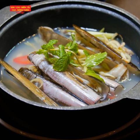  Steamed Razor Clam - Ốc Móng Tay Hấp 