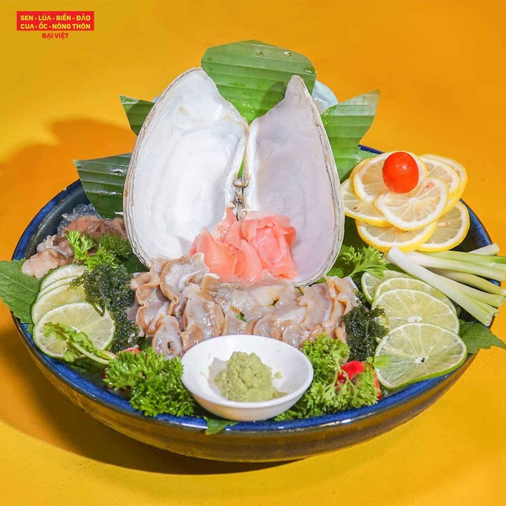  Geoduck Sashimi - Sashimi Ốc Vòi Voi (Giá tính theo 1 con 1 kg) 