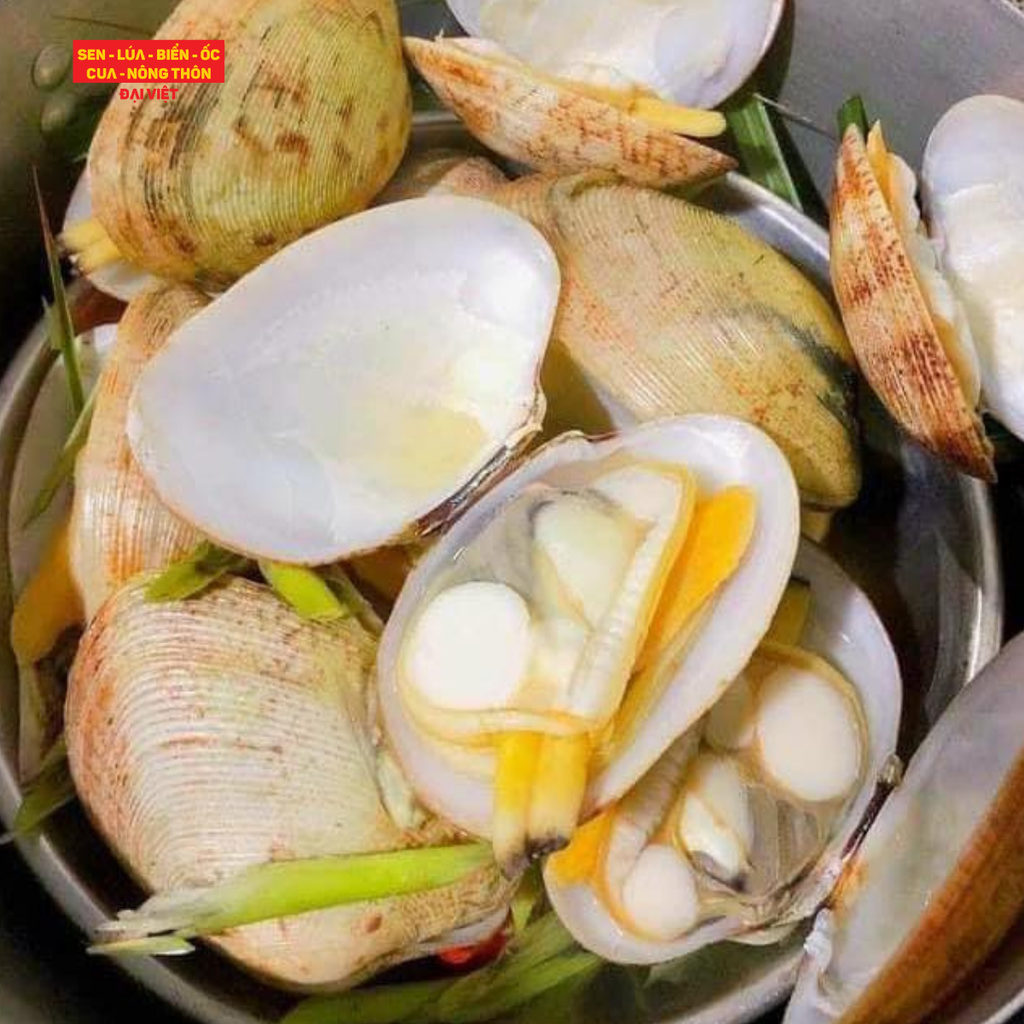  Steamed Bowl Clam With Lemongrass - Sò Tộ Hấp Sả 