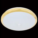  Đèn mâm ốp trần tròn siêu sáng Ø300*H45-LED 24W - 6000K - ABS MSS-693 
