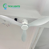  Đèn quạt trần trang trí TC007 