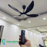  Đèn quạt trần trang trí TC005 