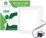  Đèn LED ốp trần vuông 18W GSOT18 
