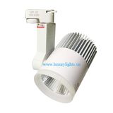  Đèn LED Rọi Ray 30W GS Lighting GSRR30 