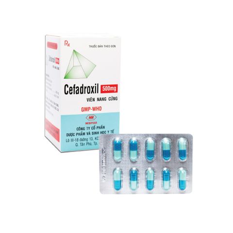  Cefadroxil 500mg 