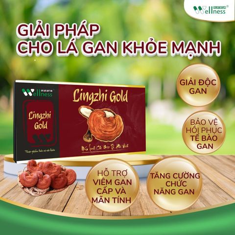 Viên linh chi phá vách hỗ trợ chức năng gan Lingzhi Gold