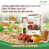 Cà phê sức khỏe Lingzhi Coffee