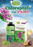 Thực phẩm bảo vệ sức khỏe TH- Chlorophyll UIE PLUS