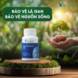 Lá gan nguồn sống - Combo liver-source of life