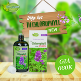 Thực phẩm bảo vệ sức khỏe TH-Chlorophyll UIE PLUS