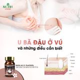 Thực phẩm bảo vệ sức khỏe BIKEN AX 21