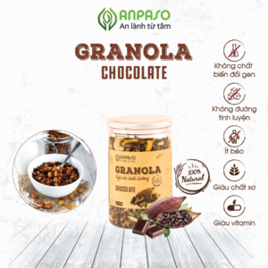 Granola thường 300gr vị Socola