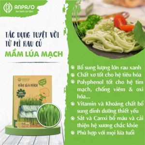 Mì Mầm Lúa Mạch Organic Anpaso 300g