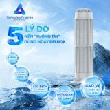 Bộ lọc đầu nguồn Beluga B2.1-250