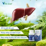 Lá gan nguồn sống - Combo liver-source of life