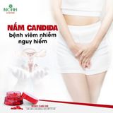 BIKEN CAREME (kèm găng tay)