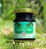 Cao Dây Thìa Canh