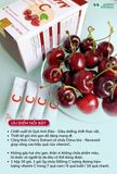 Thực phẩm bảo vệ sức khỏe Cherry Extract Vitamin C