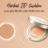 Combo Phấn Nước + Lõi C’Choi Herbal DD Cushion