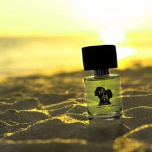 Nước hoa MINE – A better day