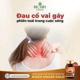 Thực phẩm bảo vệ sức khỏe BIKEN KINASE GOLD