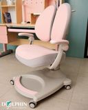 Ghế học sinh Model DOL-G6