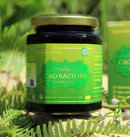 Cao Bách Ho Tĩnh Sáng Đường