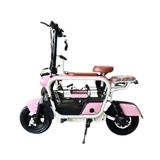 Xe điện Tam Đảo (Dùng acquy)