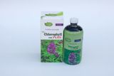Thực phẩm bảo vệ sức khỏe TH- Chlorophyll UIE PLUS