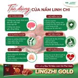Viên linh chi phá vách hỗ trợ chức năng gan Lingzhi Gold