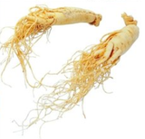 Viên Bổ não Tây dương sâm