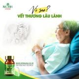 Thực phẩm bảo vệ sức khỏe BIKEN SPIRULINA EX 29