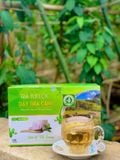 Trà Túi Lọc Dây Thìa Canh