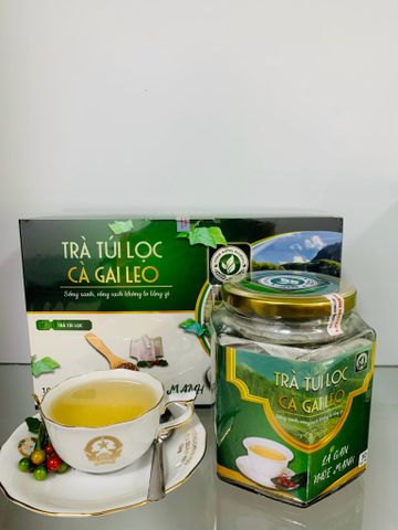 Trà Túi Lọc Cà Gai Leo Dạng Lọ 50 gói