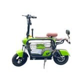 Xe điện Tam Đảo (Dùng acquy)