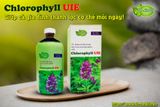 Thực phẩm bảo vệ sức khỏe TH- Chlorophyll UIE PLUS