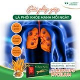 Viên đông trùng hạ thảo nhuận phổi, bổ thận cordycops mycelium
