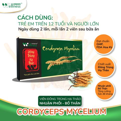 Viên đông trùng hạ thảo nhuận phổi, bổ thận cordycops mycelium