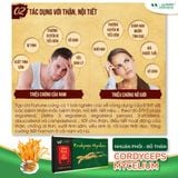 Viên đông trùng hạ thảo nhuận phổi, bổ thận cordycops mycelium