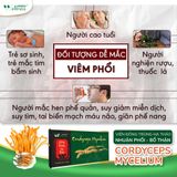 Viên đông trùng hạ thảo nhuận phổi, bổ thận cordycops mycelium
